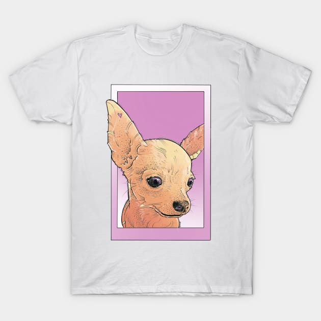 chihuahua girl in pink T-Shirt by weilertsen